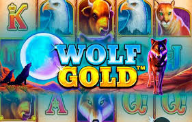 신비로운 세계의 Wolf Gold